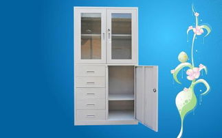 沙溪彩色铁文件柜厂价格解析 零售专卖与批发抢购指南